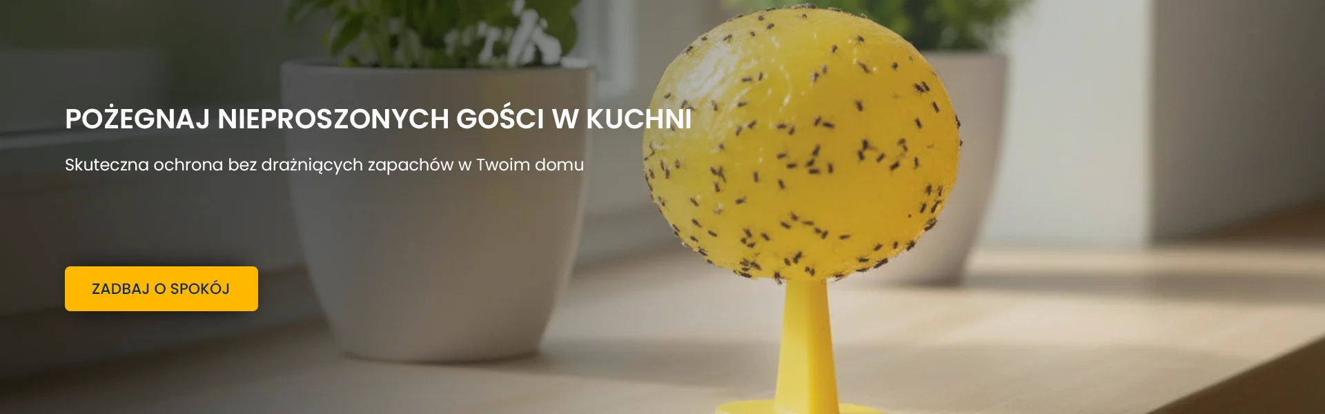 Baner lep na muszki copy