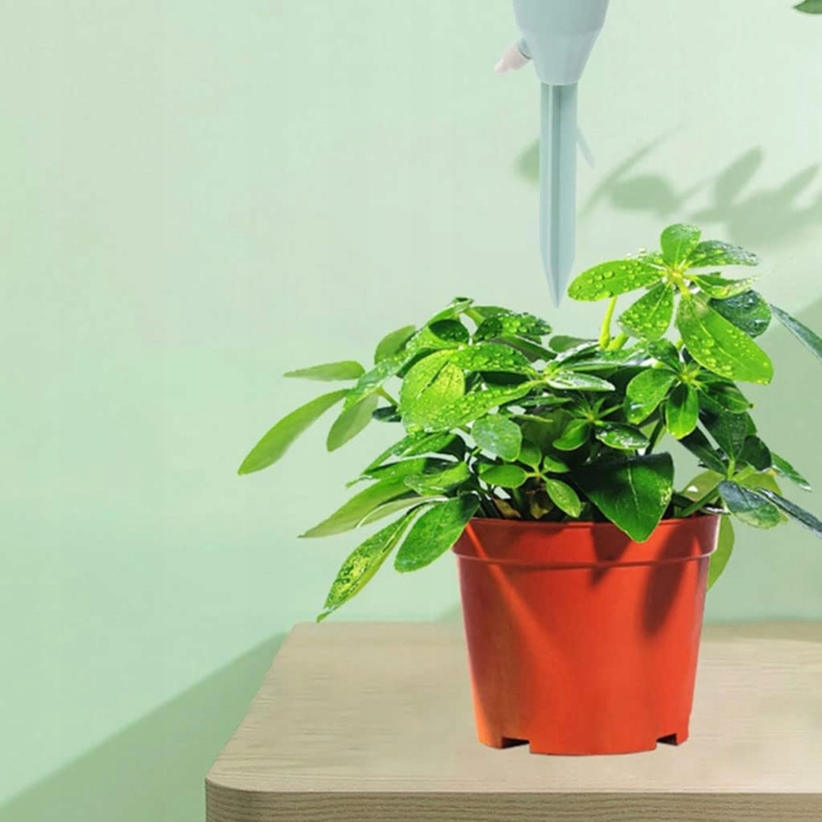 image-1519.jpeg Nawadniacz Do Kwiatów Roślin 3szt Nawodnienie Doniczek Dozownik Wody Ogród