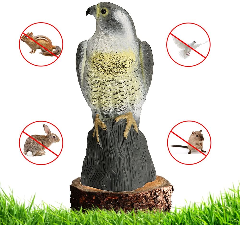 Duży Odstraszacz Ptaków Gołębi Szpaków Sokół Skała