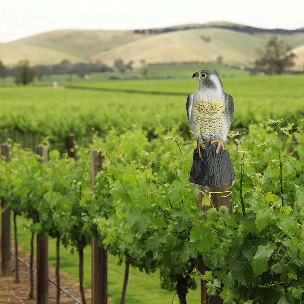 image-191.jpeg Duży Odstraszacz Ptaków Gołębi Szpaków Sokół Skała