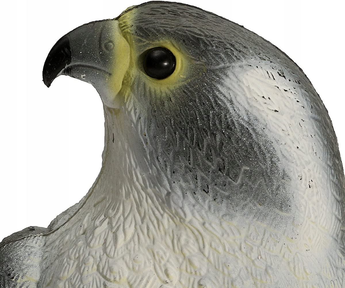 image-193.jpeg Duży Odstraszacz Ptaków Gołębi Szpaków Sokół Skała