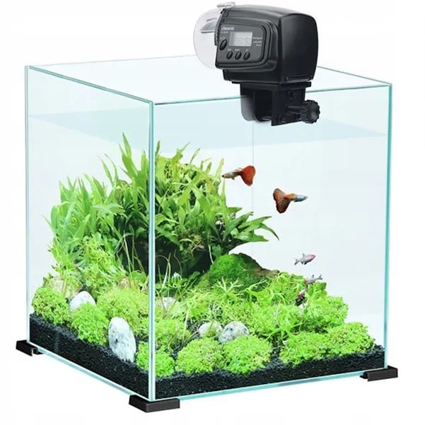 Karmnik Automatyczny Dla Ryb Rybek Podajnik Pokarmu Do Akwarium Lcd