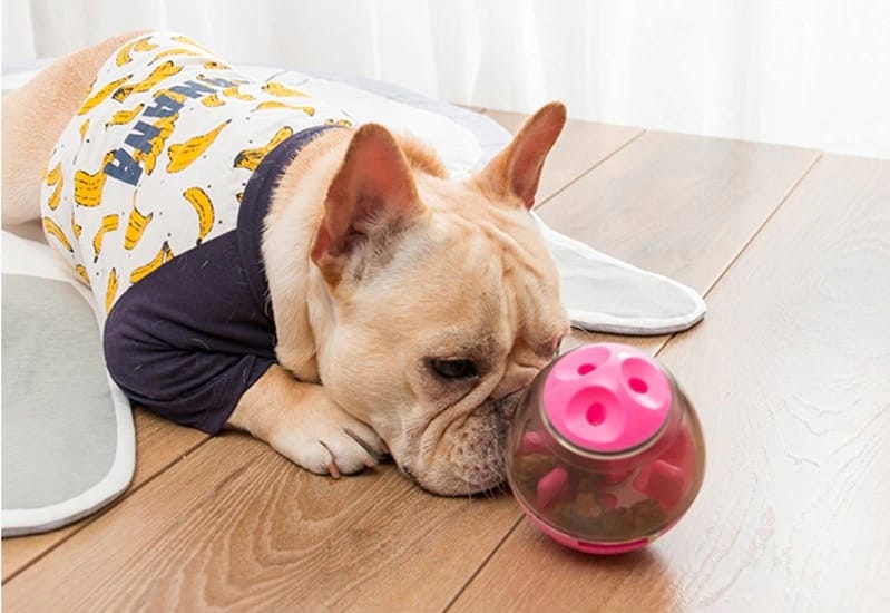 Zabawka Dla Psa Na Przysmaki Dozownik Smaczków Interaktywna Na Jedzenie