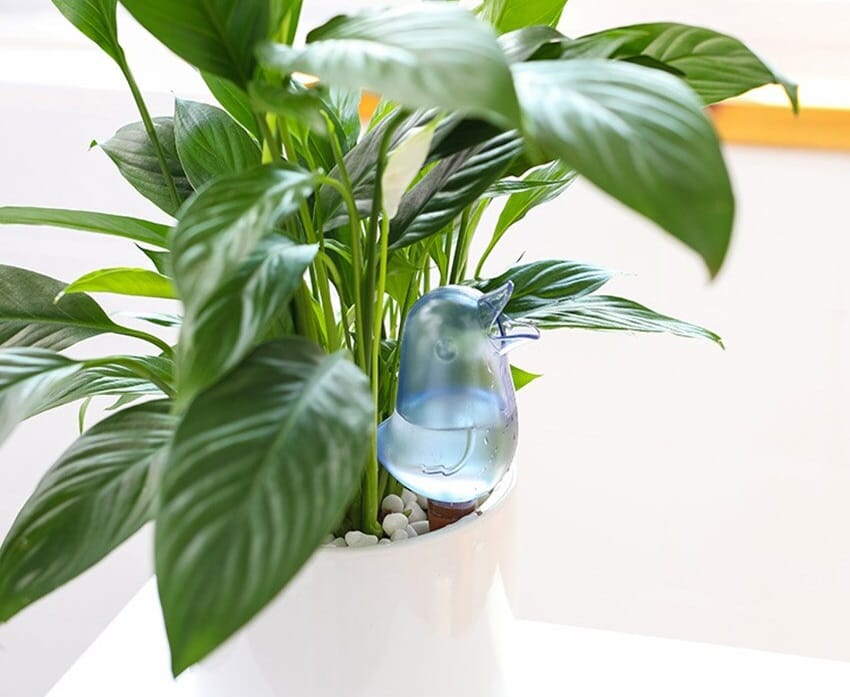 image-549.jpeg Nawadniacz Do Kwiatów Roślin Nawadnianie Doniczek Automatyczne Podlewanie