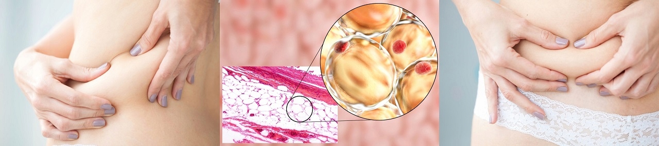 Elektrostymulator Mięśni Nerwów Tens Ems Silny Stymulator Masażer Elektrody