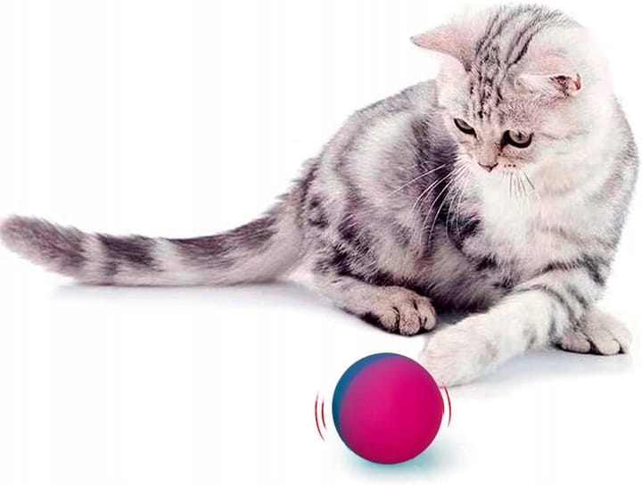 Piłeczka Kauczukowa Piłka Kauczukowa Gumowa Skacząca Neonowa 70 Sztuk Słoik