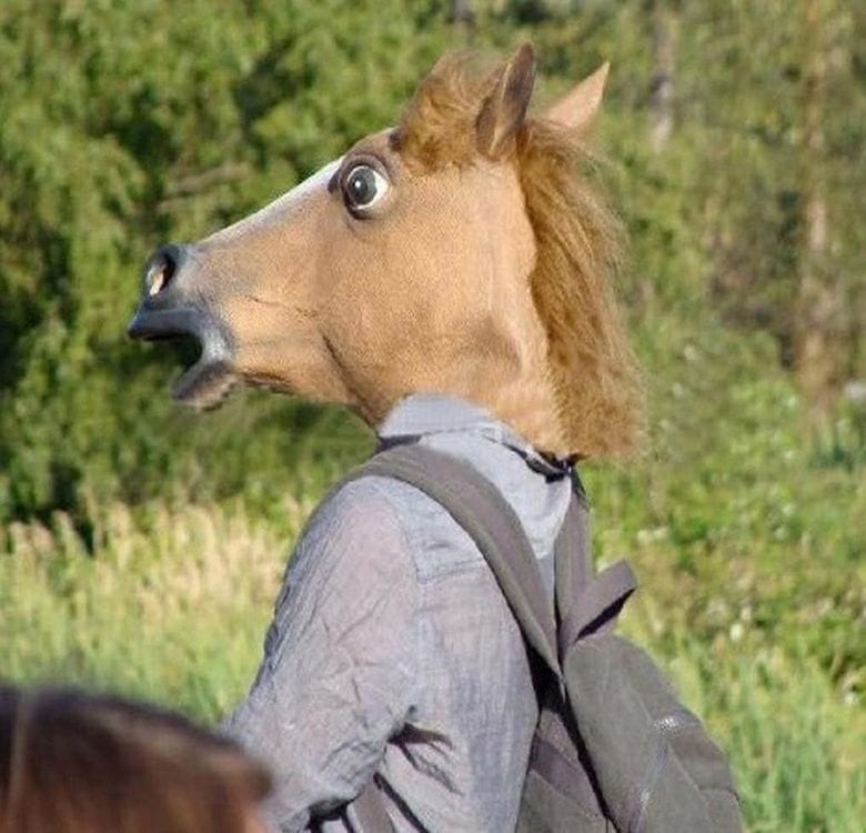 Maska Głowa Konia Lateksowa Koń Na Halloween Imprezę Przebranie Z Włosami