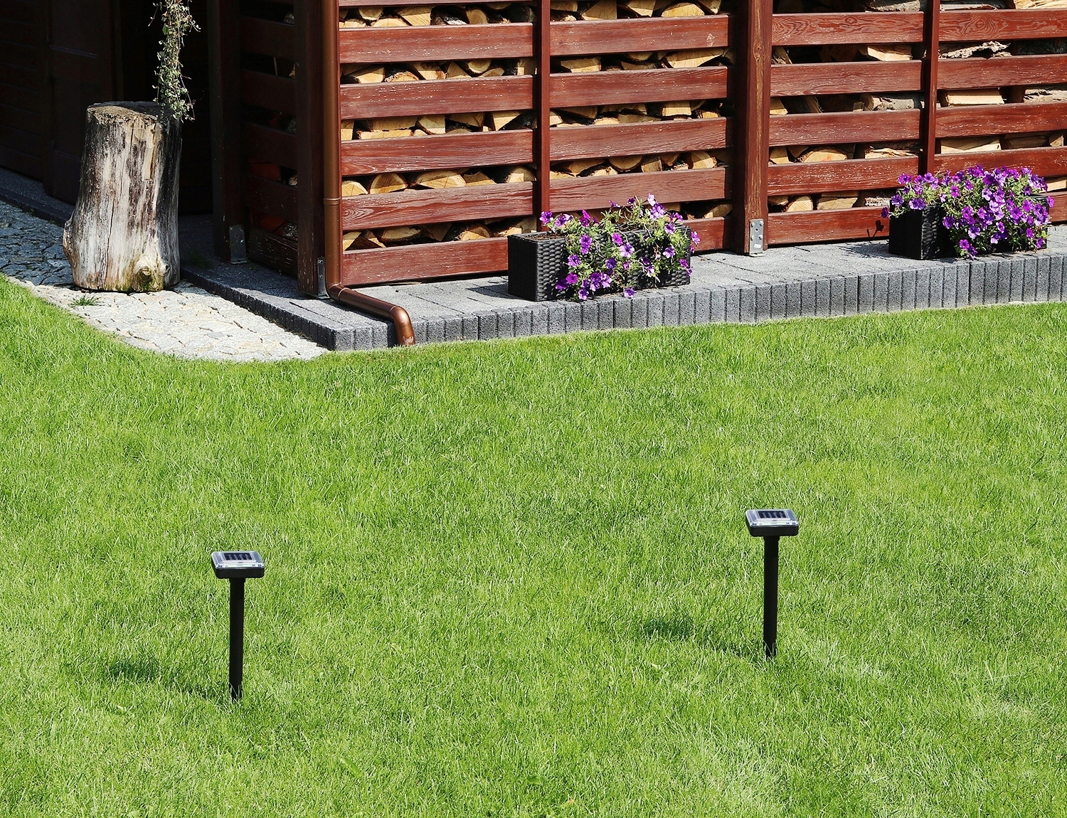 Silny Solarny Odstraszacz Kretów Na Krety Nornice Mocny Susły Myszy