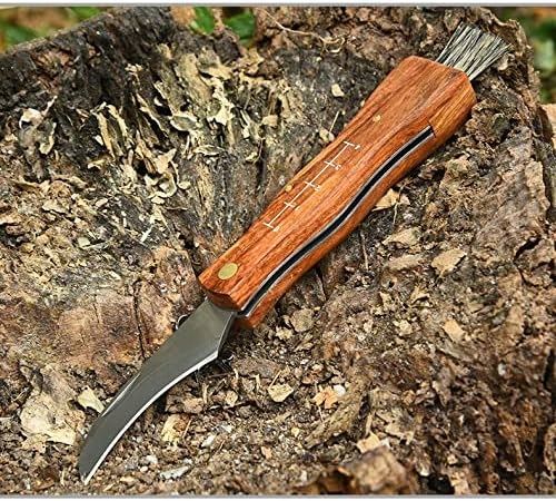 Nóż Do Grzybów Scyzoryk Na Grzyby Składany Ze Szczoteczką Dla Grzybiarza