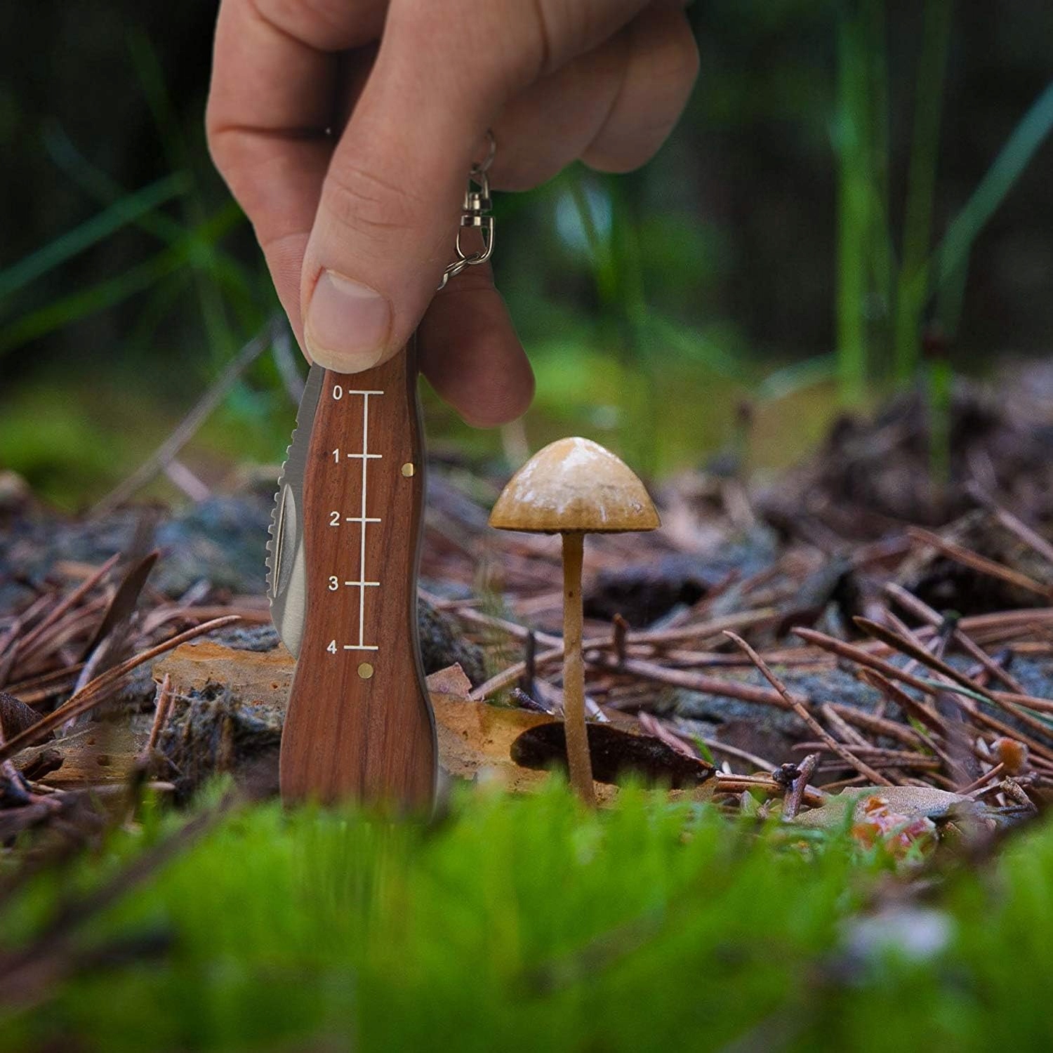 Nóż Do Grzybów Scyzoryk Na Grzyby Składany Ze Szczoteczką Dla Grzybiarza