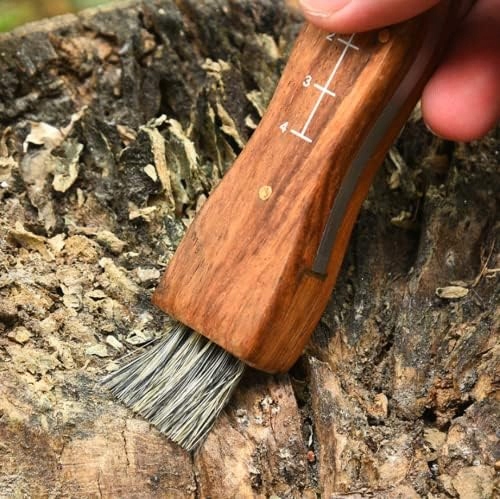 Nóż Do Grzybów Scyzoryk Na Grzyby Składany Ze Szczoteczką Dla Grzybiarza