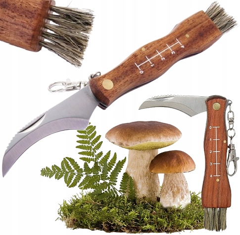 Nóż Do Grzybów Scyzoryk Na Grzyby Składany Ze Szczoteczką Dla Grzybiarza