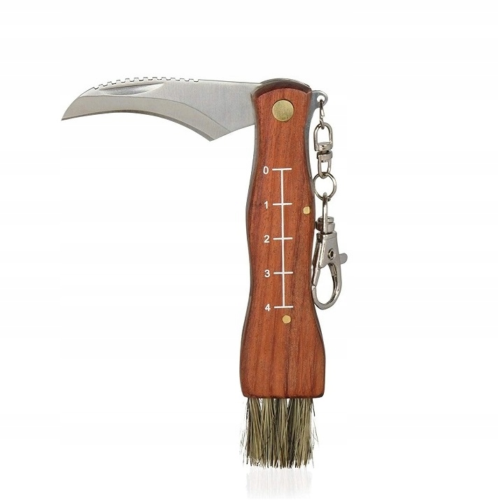 Nóż Do Grzybów Scyzoryk Na Grzyby Składany Ze Szczoteczką Dla Grzybiarza