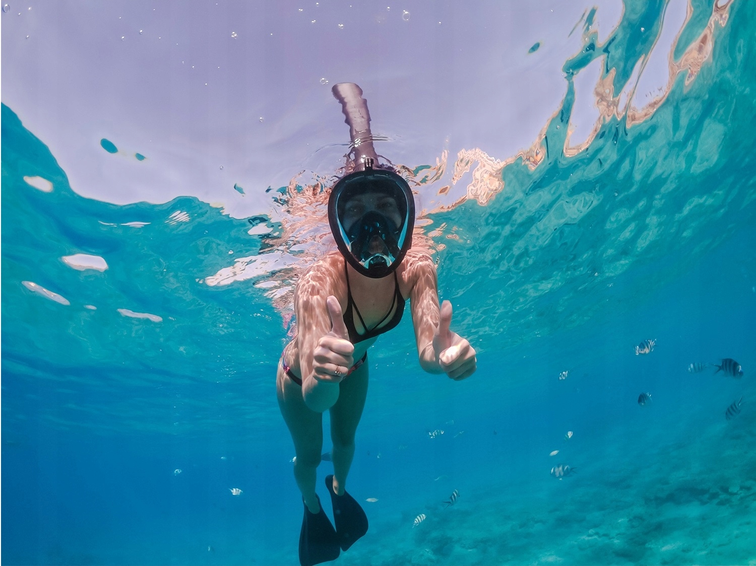 Maska Do Nurkowania Pełnotwarzowa Do Pływania Nie Parująca Składana R. S m