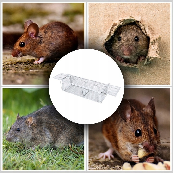 Pułapka Żywołapka Na Szczury Myszy Gryzonie Kuny Łapka Do Łapania Myszy Xl