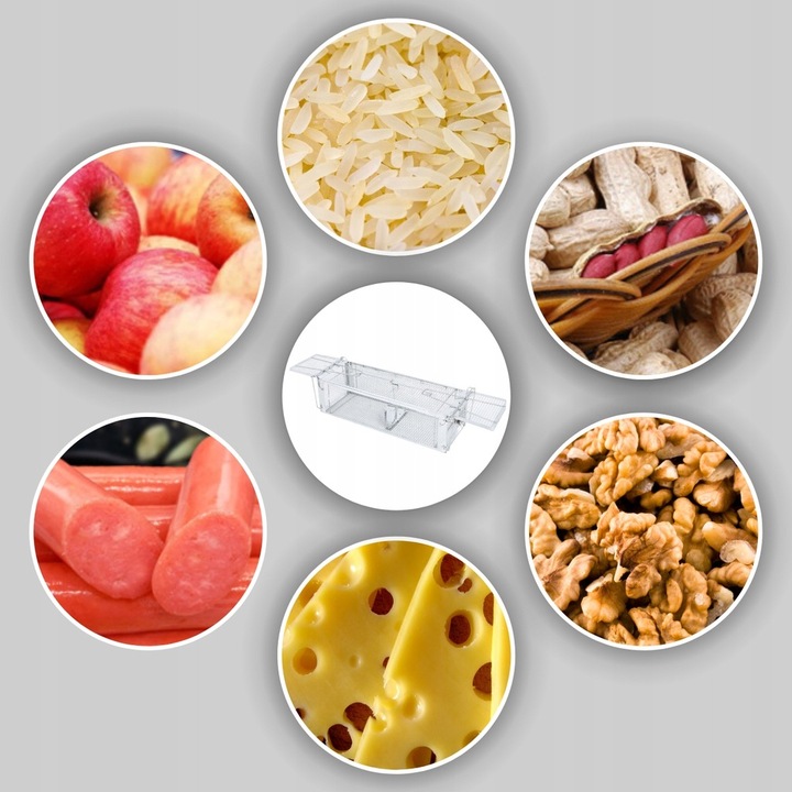 Pułapka Żywołapka Na Szczury Myszy Gryzonie Kuny Łapka Do Łapania Myszy Xl