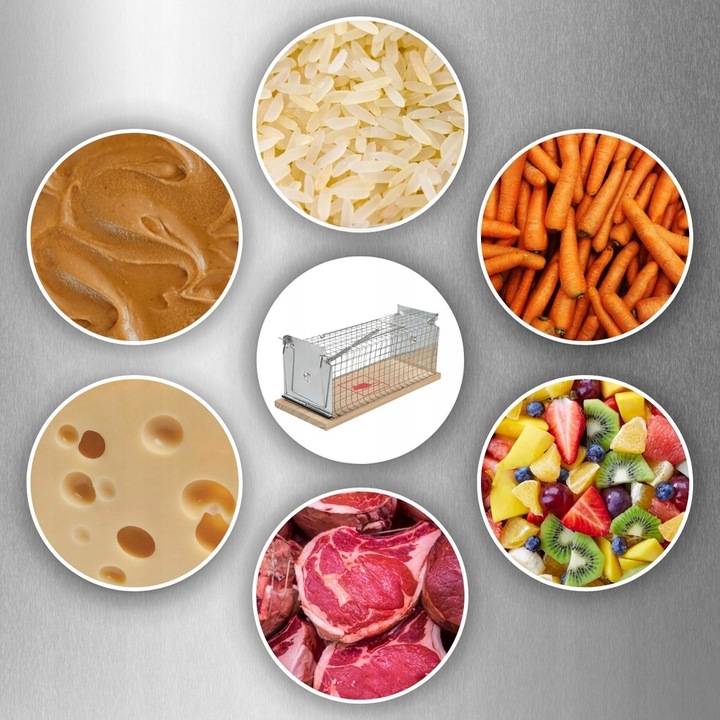 Pułapka Żywołapka Na Szczury Myszy Gryzonie Kuny Klatka Łapka Humanitarna