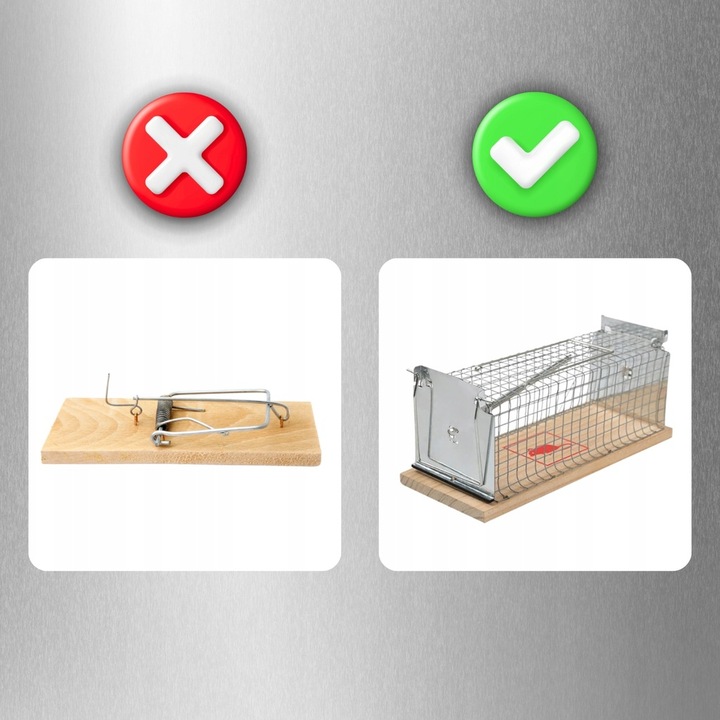Pułapka Żywołapka Na Szczury Myszy Gryzonie Kuny Klatka Łapka Humanitarna