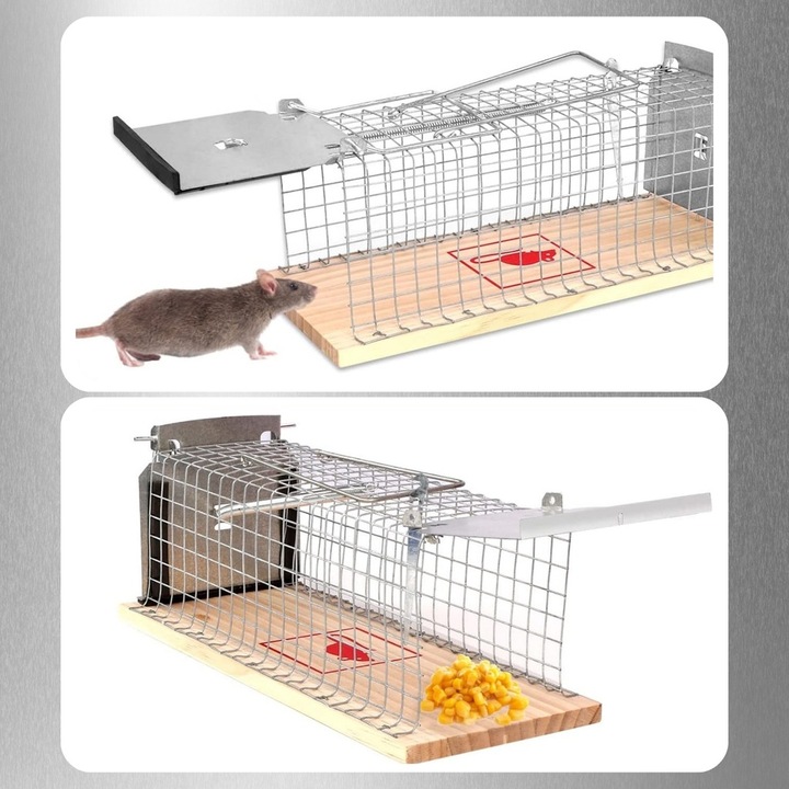 Pułapka Żywołapka Na Szczury Myszy Gryzonie Kuny Klatka Łapka Humanitarna