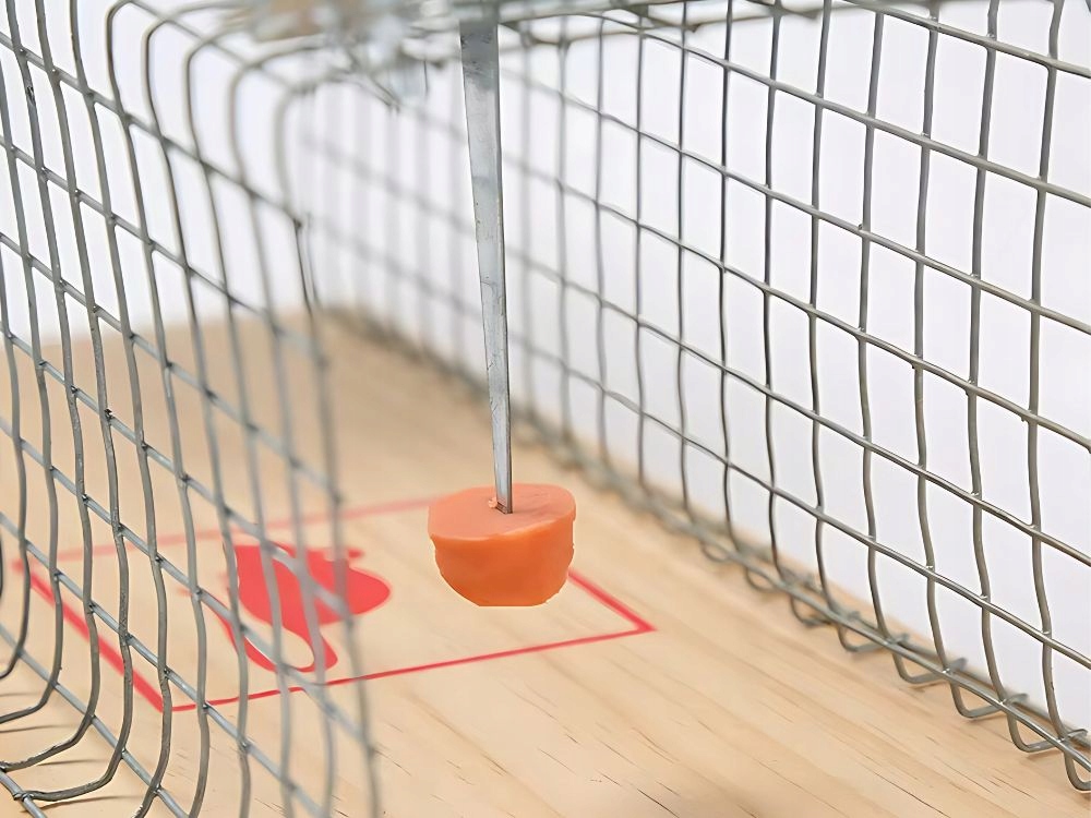 Pułapka Żywołapka Na Szczury Myszy Gryzonie Kuny Klatka Łapka Humanitarna