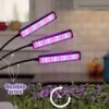3x Lampa Led Do Uprawy Wzrostu Roślin 3 Panele Rodzaje Światła Duża Timer