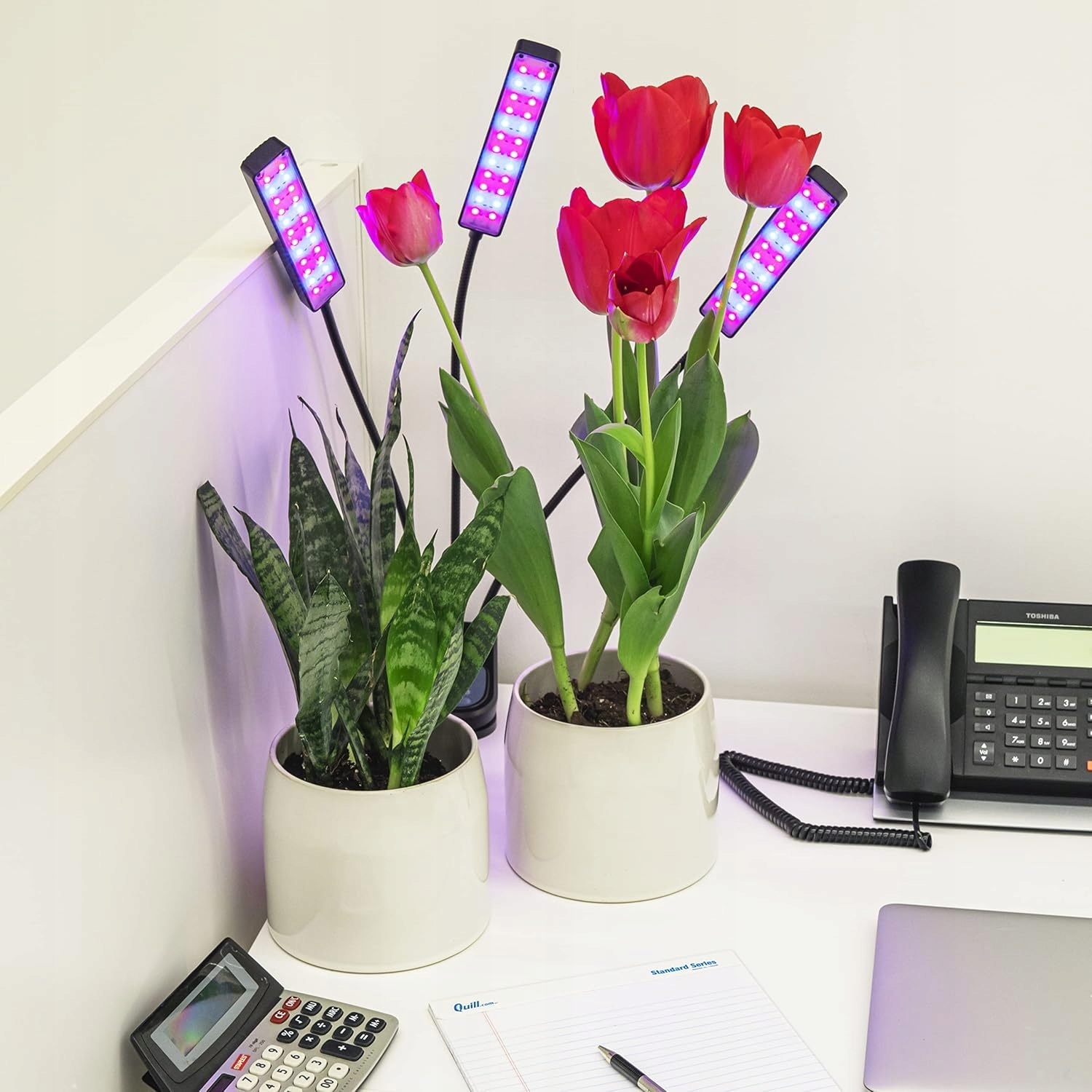 3x Lampa Led Do Uprawy Wzrostu Roślin 3 Panele Rodzaje Światła Duża Timer