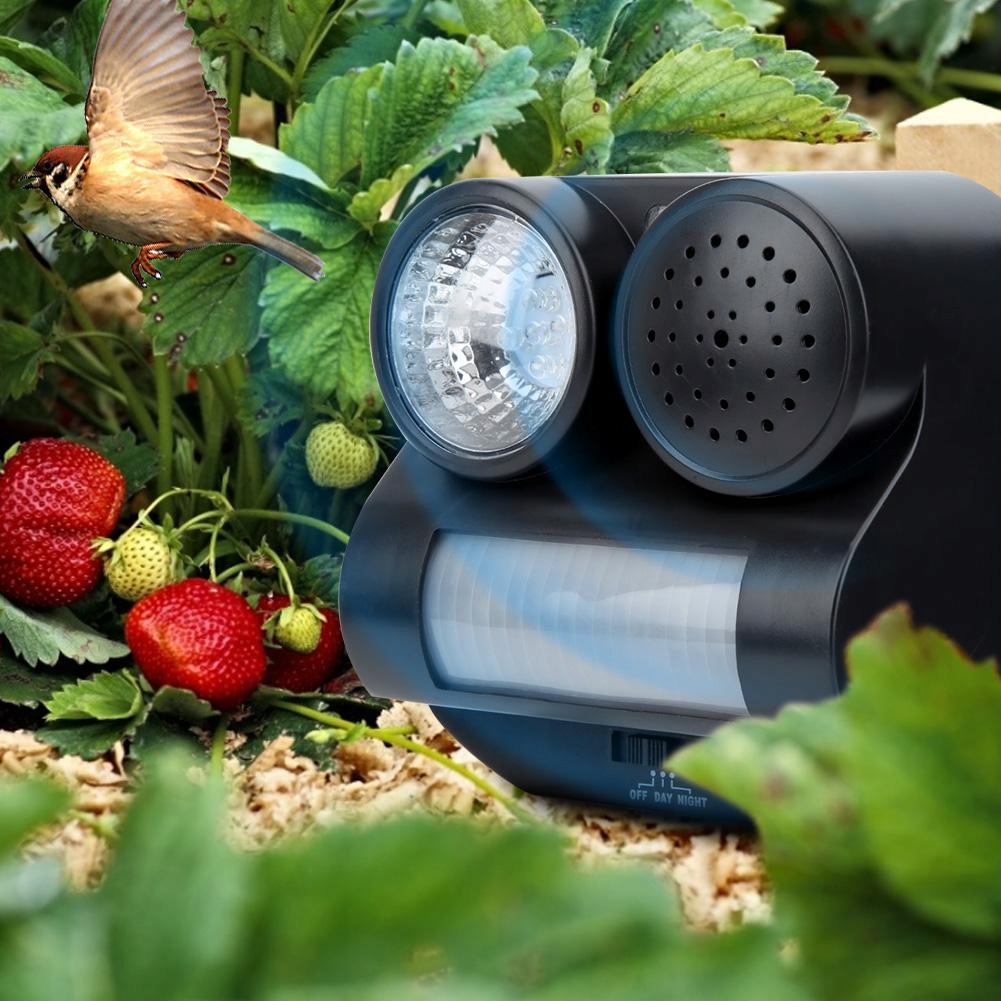 Dźwiękowy Odstraszacz Ptaków Gołębi Pułapka Na Ptaki Gołębie Wróble Czujnik