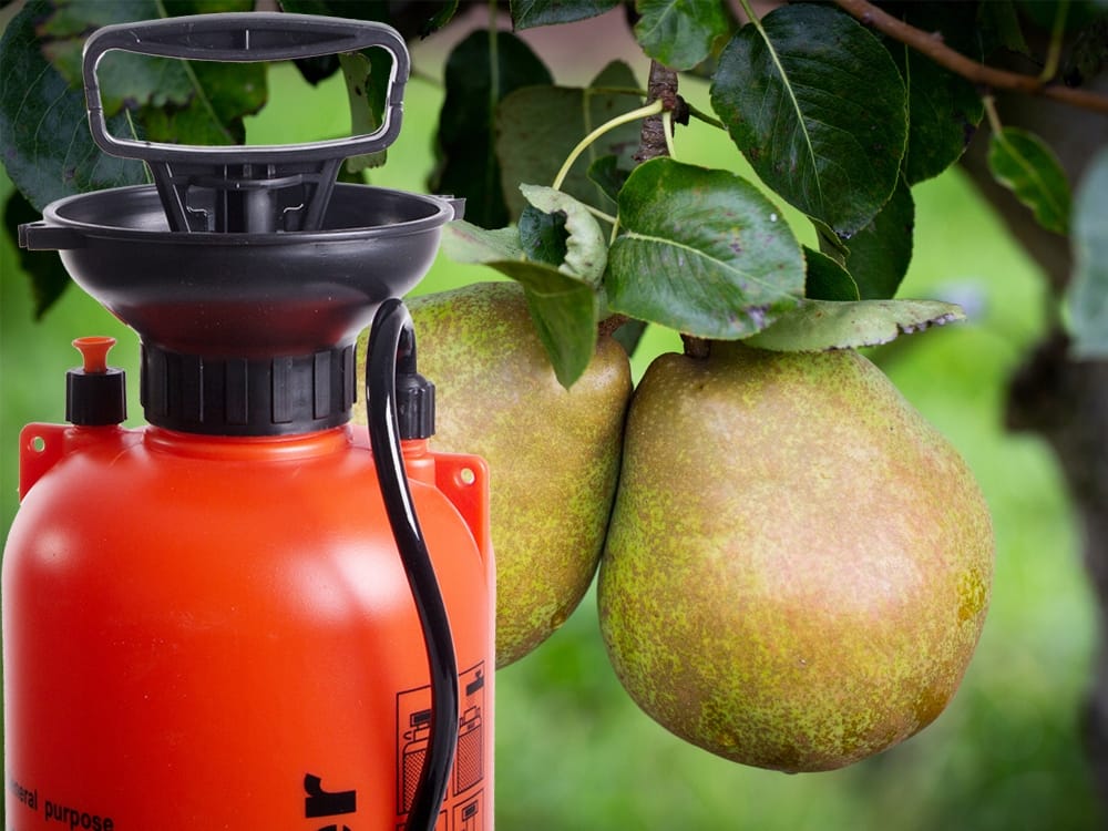 Opryskiwacz Ciśnieniowy Ręczny 10l Długa Lanca Zraszanie Rozpylacz Ogrodowy