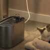 Fontanna Poidełko Dla Kota Psa Miska Automatyczne Poidło + Filtr Cicha Led