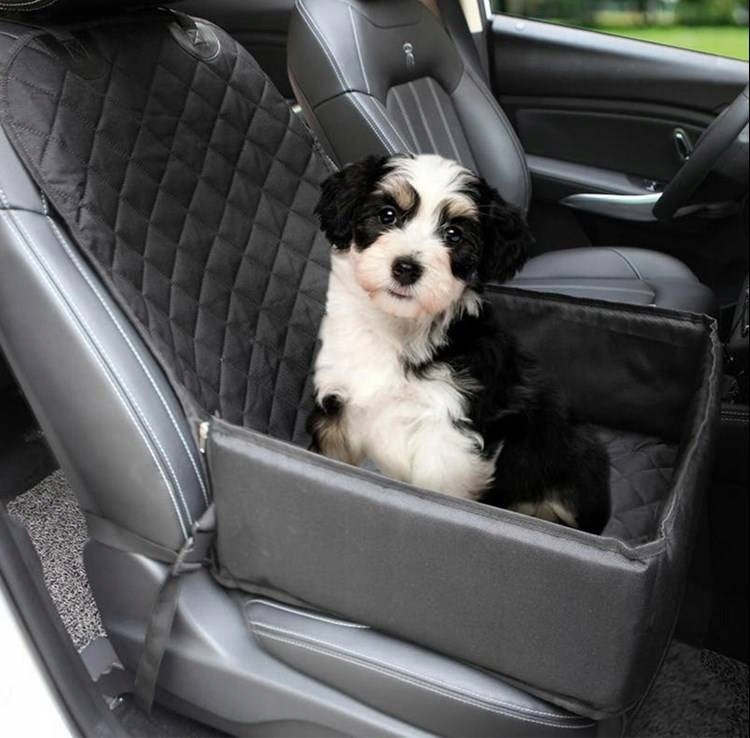 Transporter Mata Kojec Do Samochodu Auta Psa Kota