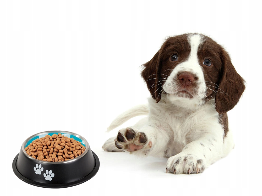 Miska Dla Psa Kota Metalowa Antypoślizgowa Miseczka Łapka Guma Łapki 400ml