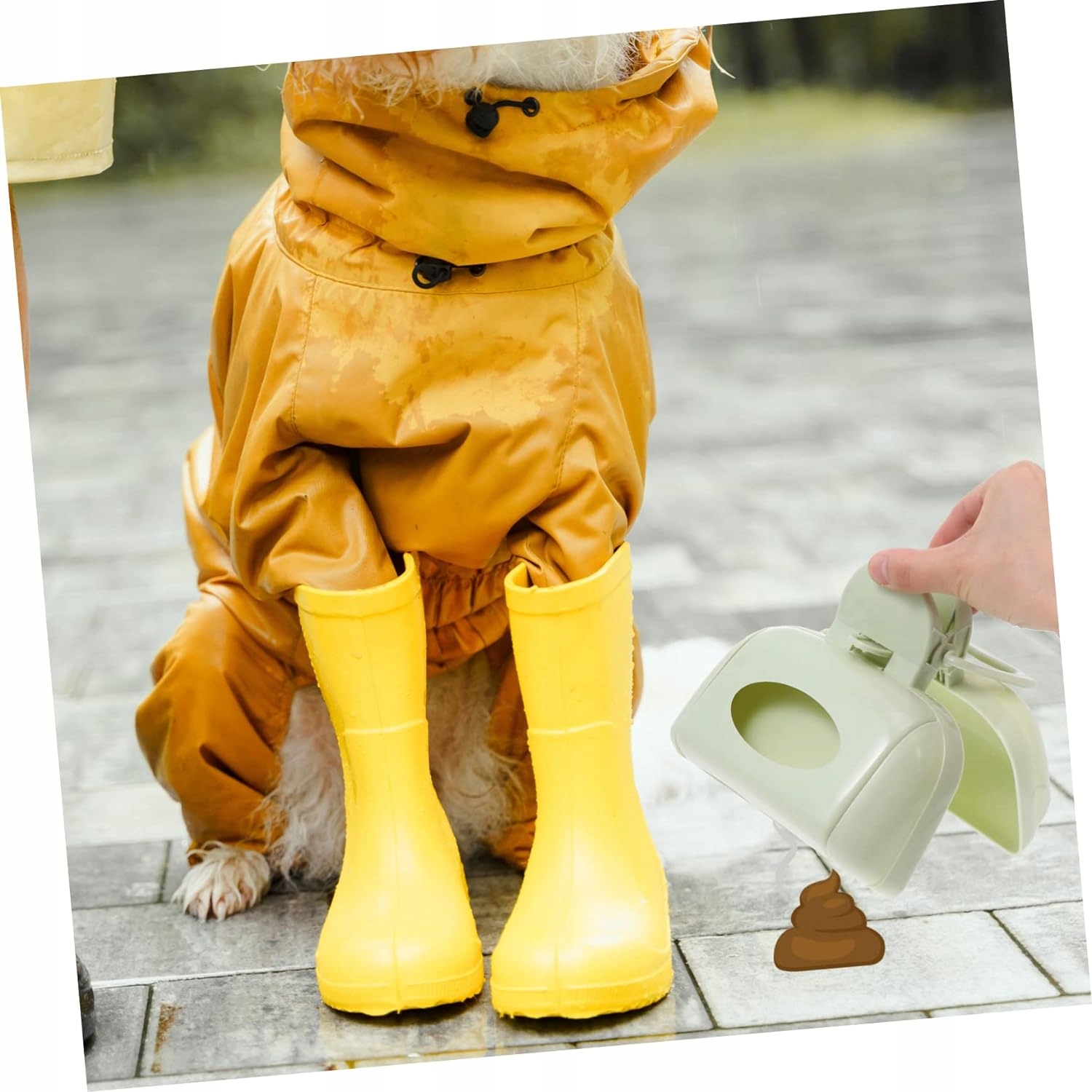 Zbieracz Psich Odchodów Kupozbieracz Łopatka Chwytak Na Odchody Kupy Psa