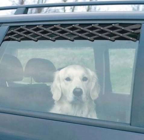 Kratka Wentylacyjna Do Okna Samochodu Auta Składana Dla Psa Kota