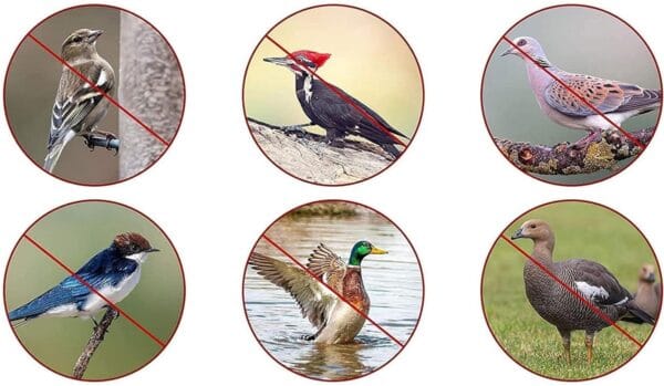 TAŚMA ODSTRASZAJĄCA PTAKI 5CM x 80M ODBLASKOWA ODSTRASZACZ PTAKÓW DO OGRODU